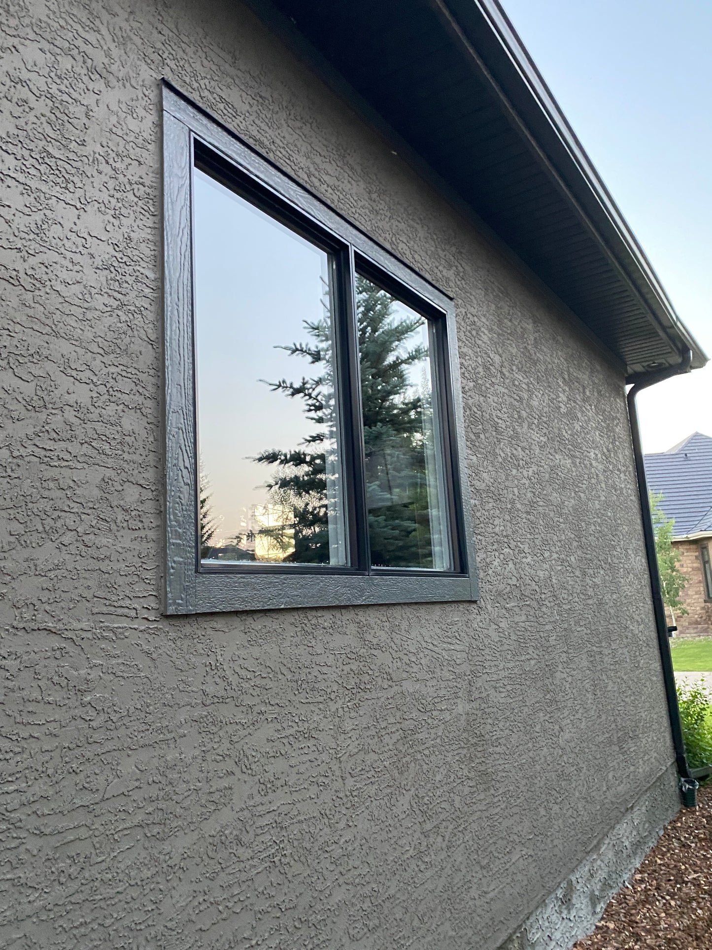 Window Cleaning Services